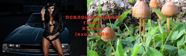 винт Богородицк
